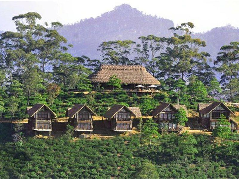 98 Acres Resort & Spa 엘라 외부 사진